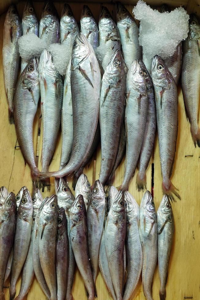 Comida para peces en un puesto de mercado de pescado. foto