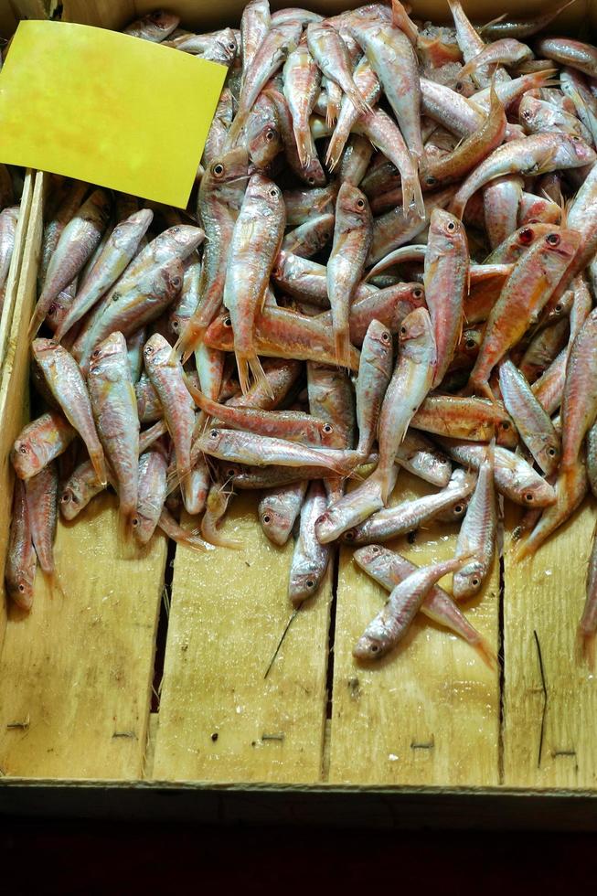 Comida para peces en un puesto de mercado de pescado. foto