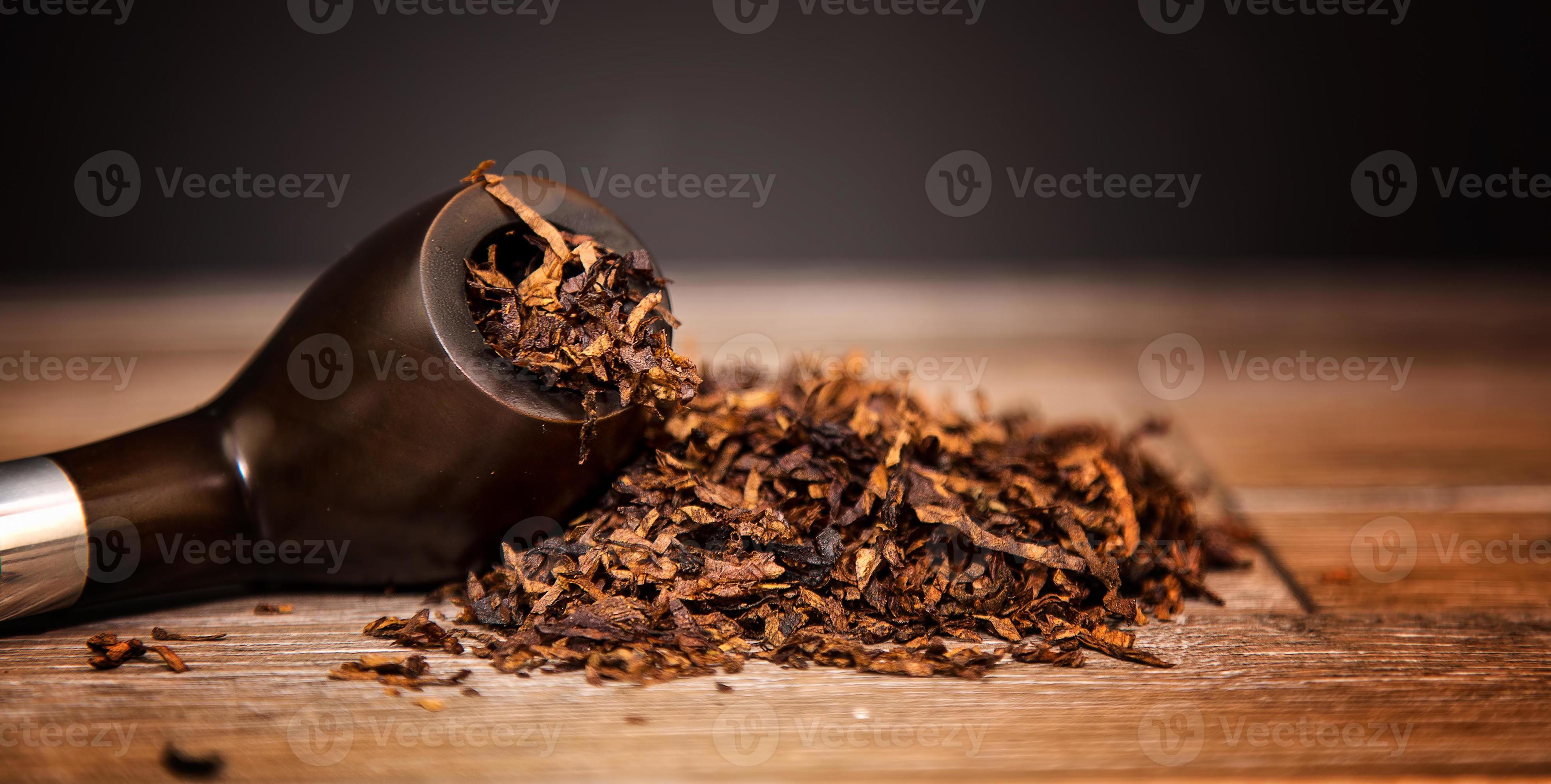 Unhealthy Addiction Nicotine Tobacco Pipe Cigar 3055138 Stock Photo at