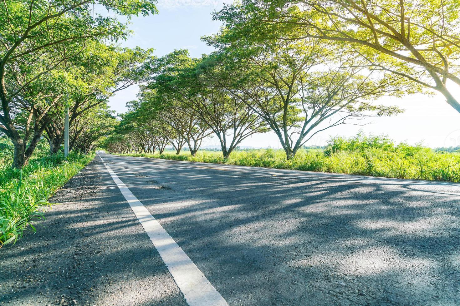 Asphalt road in forest - boost up color processing style with sunflare effect photo