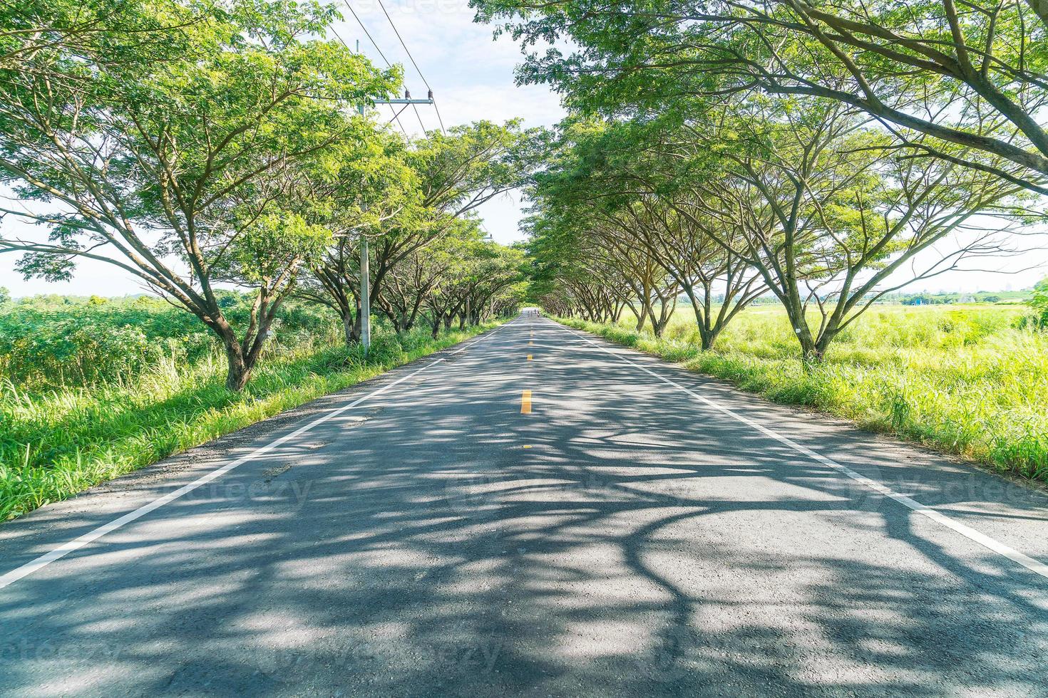 Asphalt road in forest - boost up color processing style with sunflare effect photo