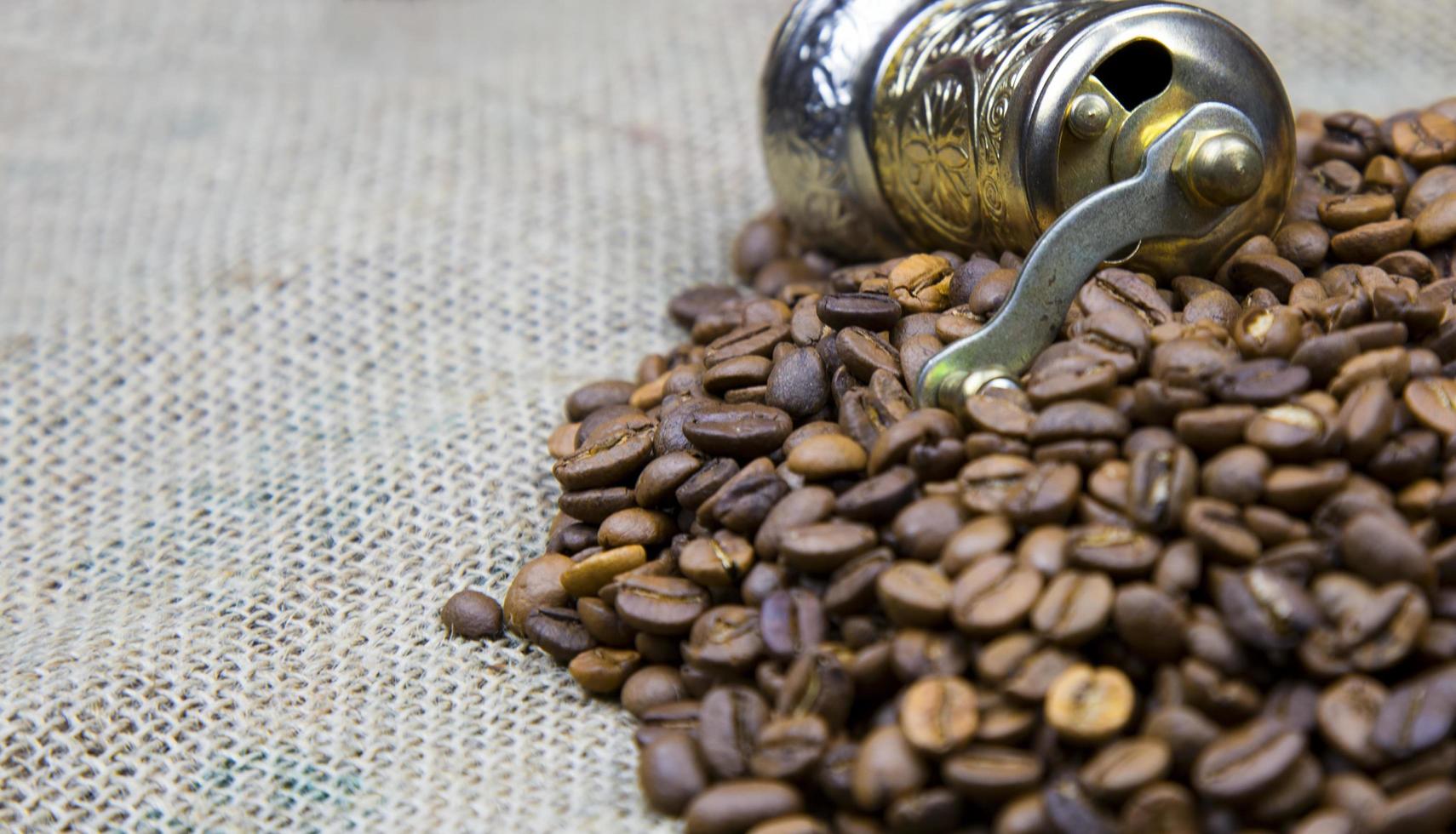 granos de café tostados naturales foto