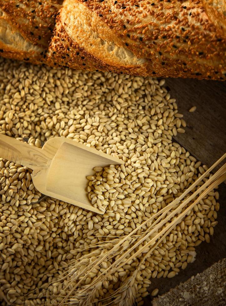 Delicious Fresh Bread Food Concept photo