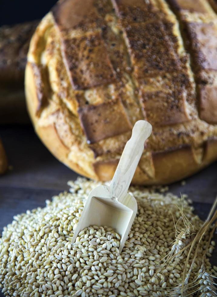 Delicious Fresh Bread Food Concept photo