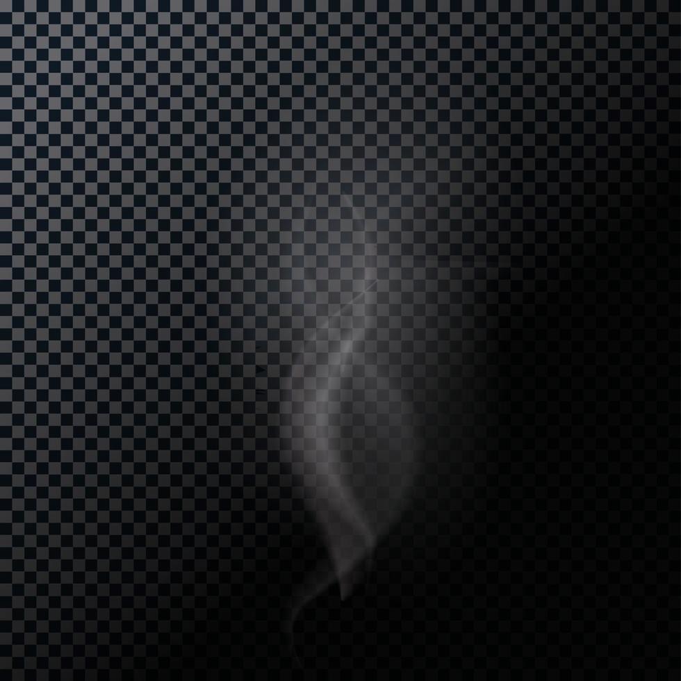 Naturalistic Smoke Isolated on Dark Background. Vector Illustrat