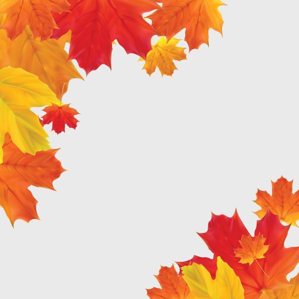 Autumn natural background template with falling leaves vector