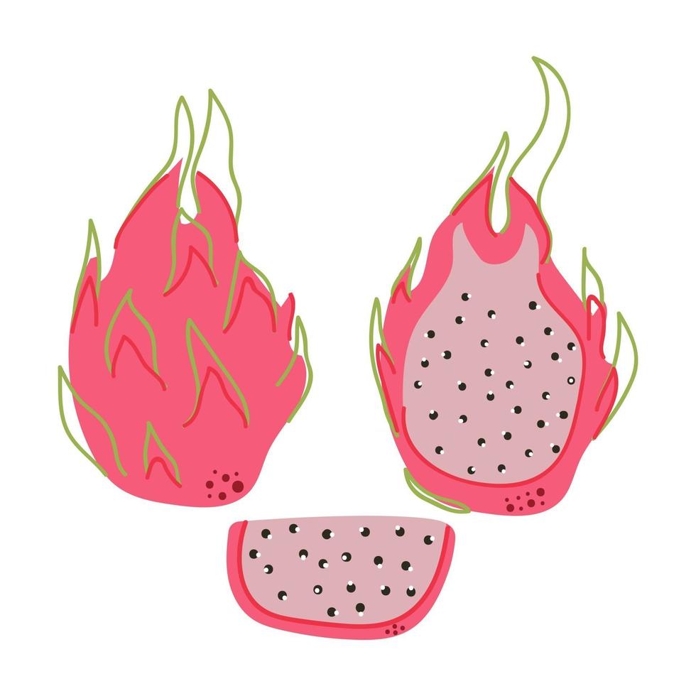 Dragon fruit, exotic tropical food, flat illustration. vector