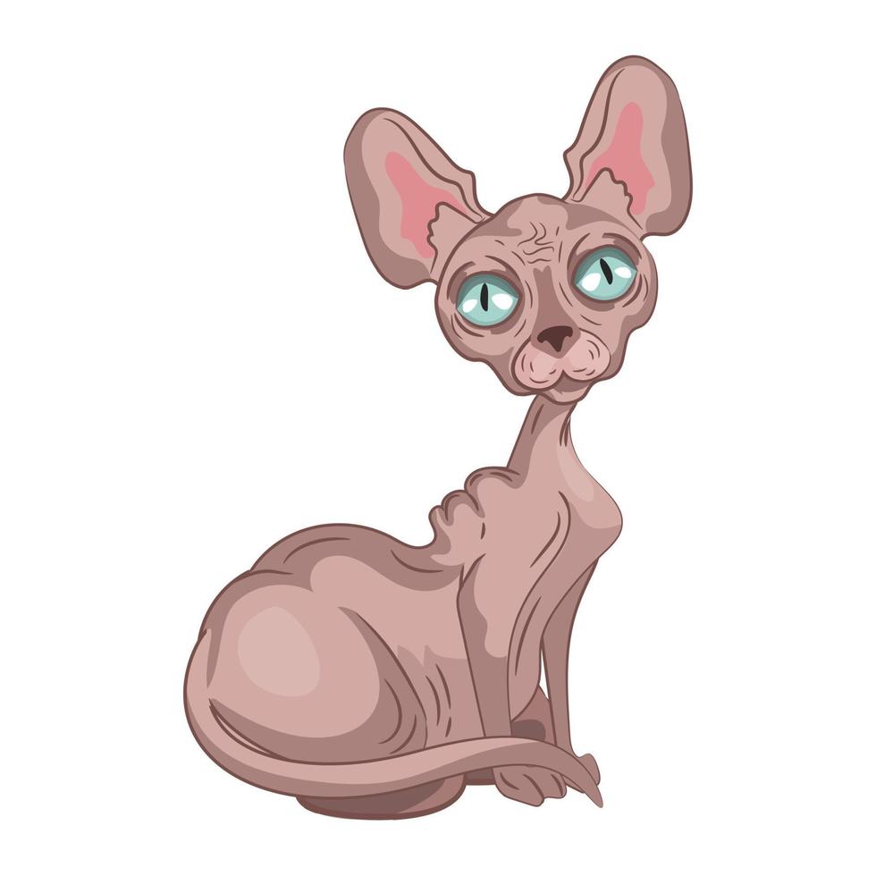 Realistic light sphinx cat sitting on a white background - Vector