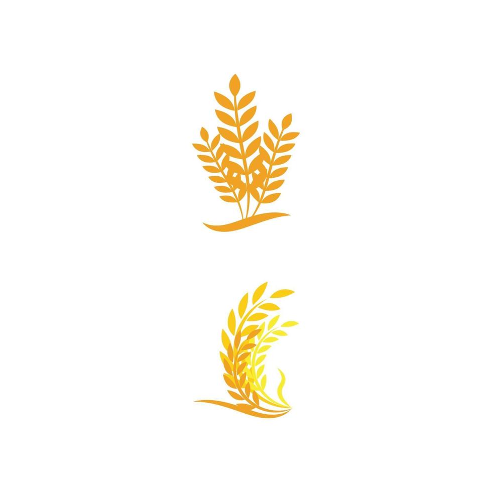 Wheat Logo Template vector symbol nature