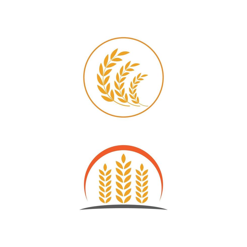 Wheat Logo Template vector symbol nature