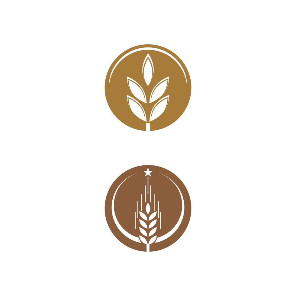Wheat Logo Template vector symbol nature