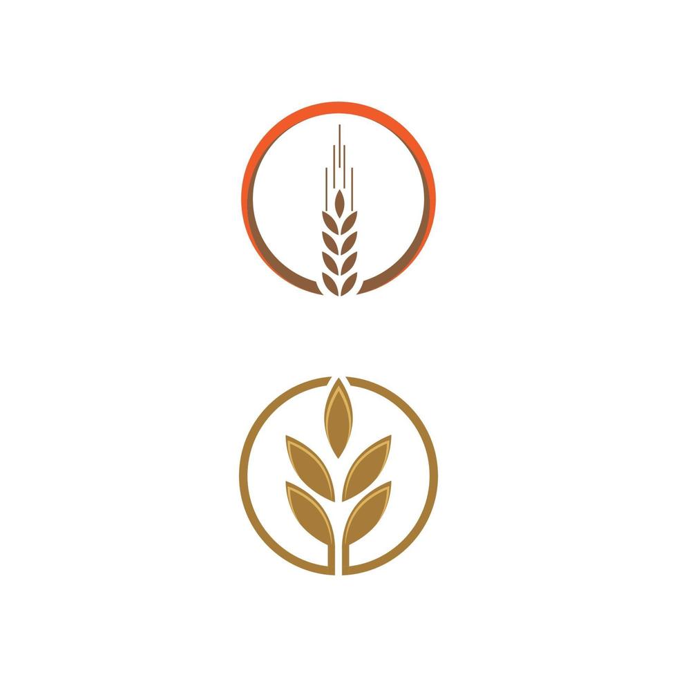 trigo logo plantilla vector símbolo naturaleza