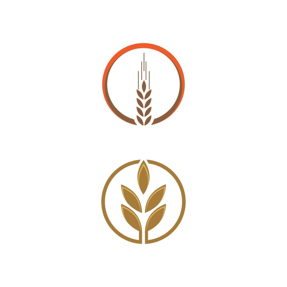Wheat Logo Template vector symbol nature