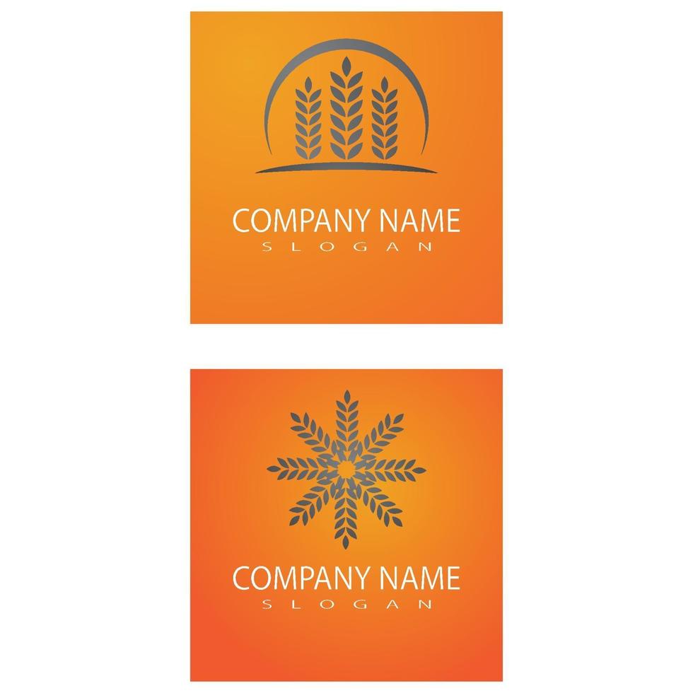 Wheat Logo Template vector symbol nature