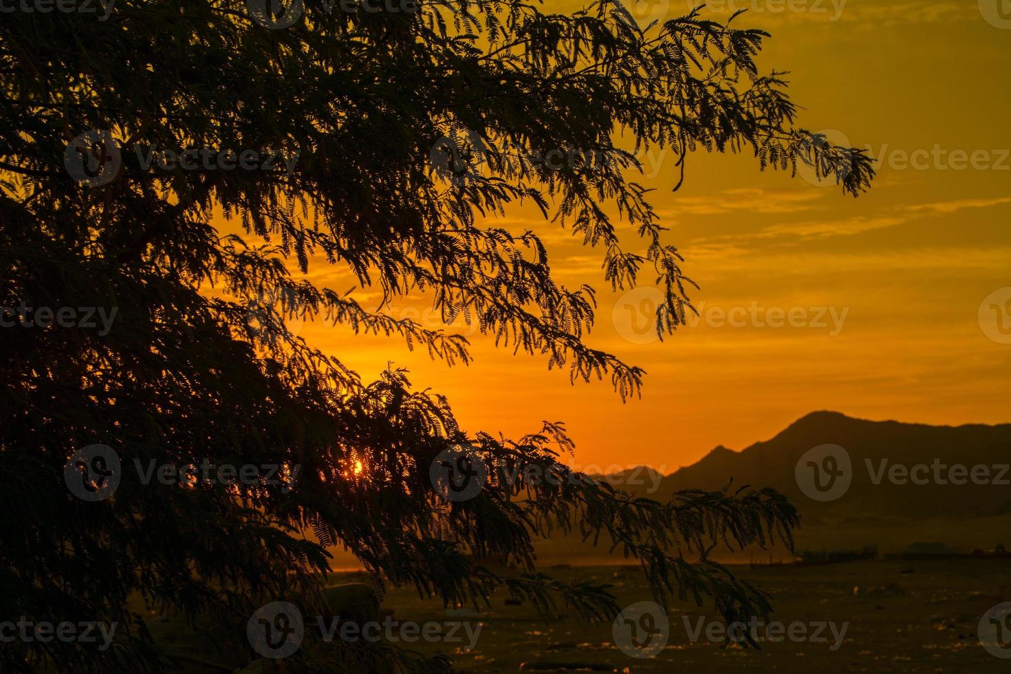 amanecer en Jeddah foto