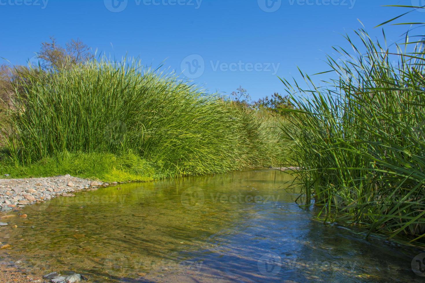 Beautiful river valley located in Al Taif, Saudi Arabia photo