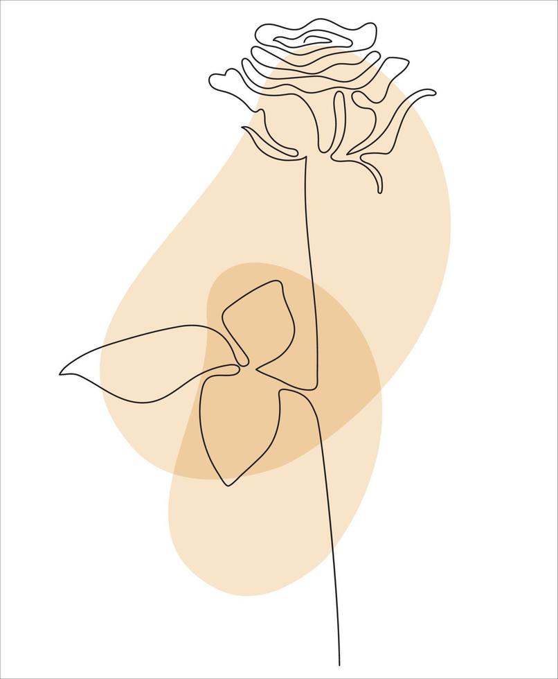 Rose Line art. Continuous line drawing. Abstract minimal flower design vector
