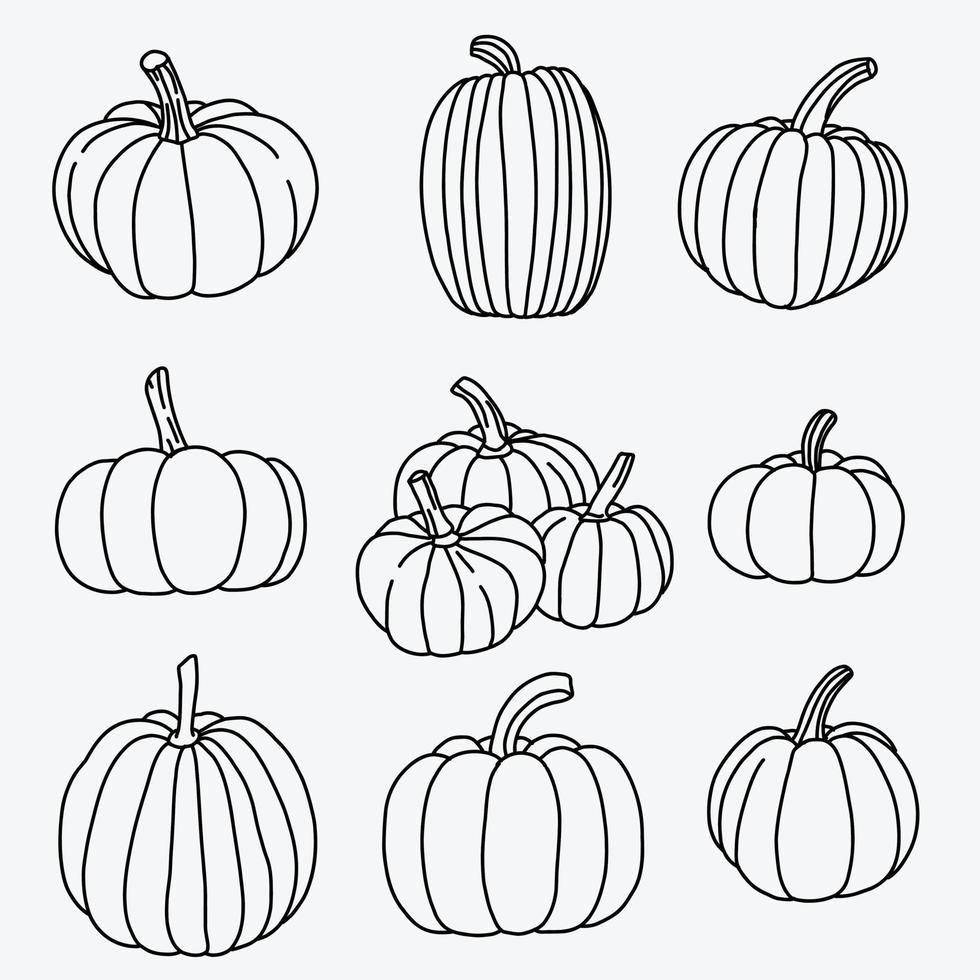 Doodle dibujo a mano alzada de calabaza vegetal conjunto vector