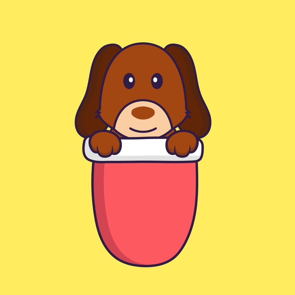 Cute dog in red pocket. vector