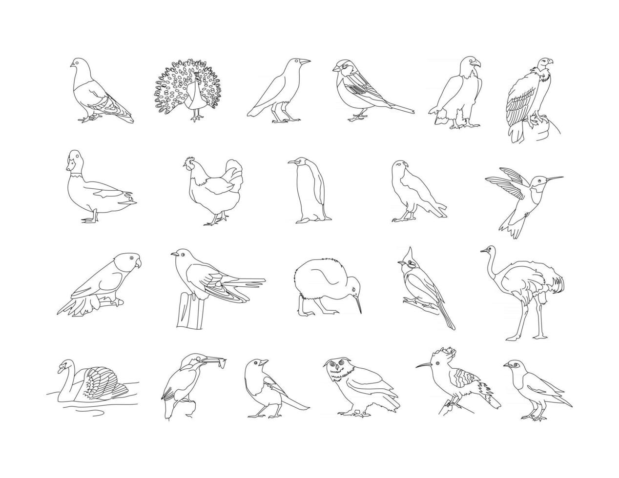 Birds - Pigeon, peacock, crow, children line drawing clip art set vector