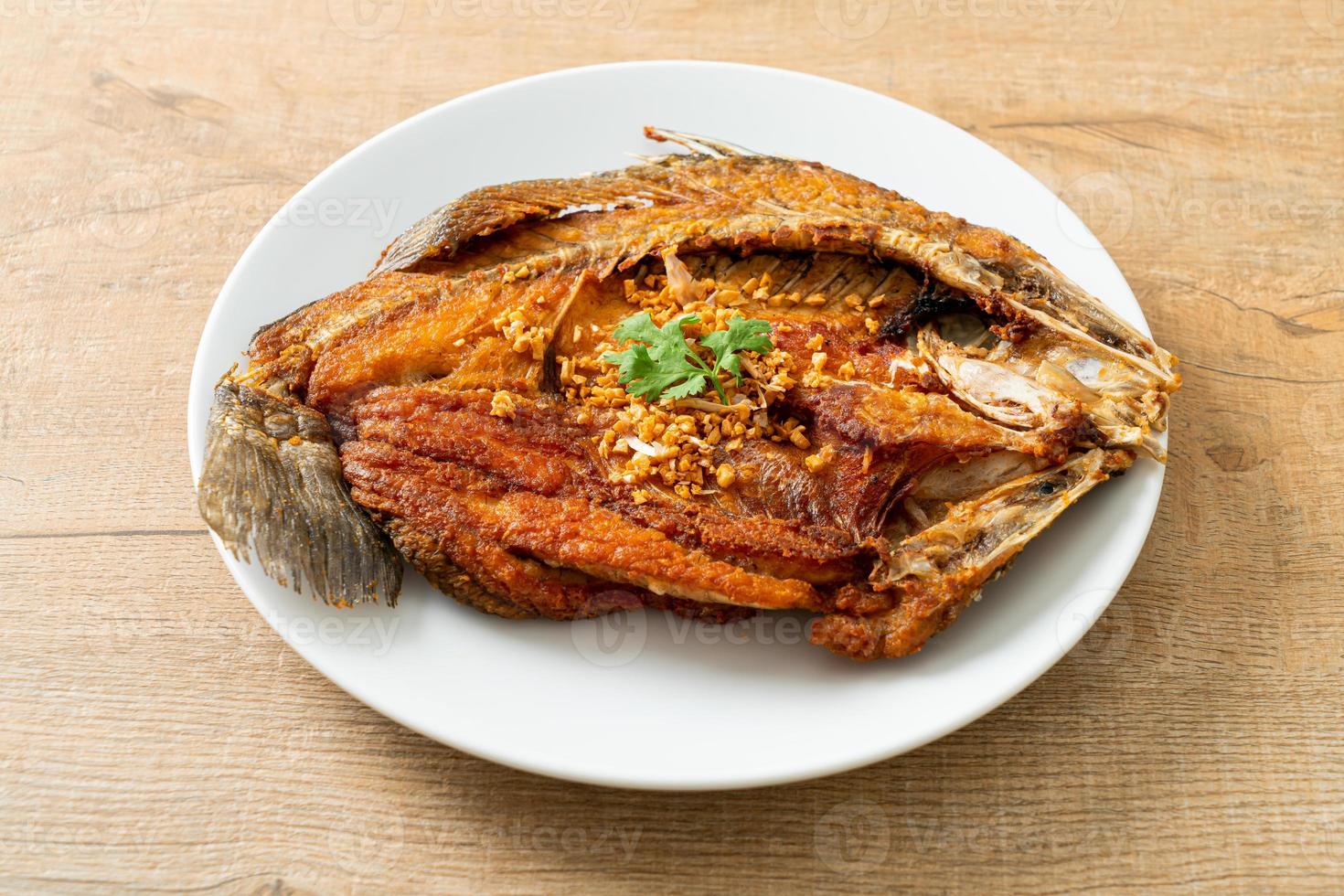 Fried Sea Bass Fish with Garlic photo