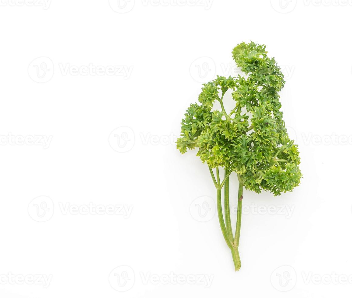 Fresh Parsley on white photo