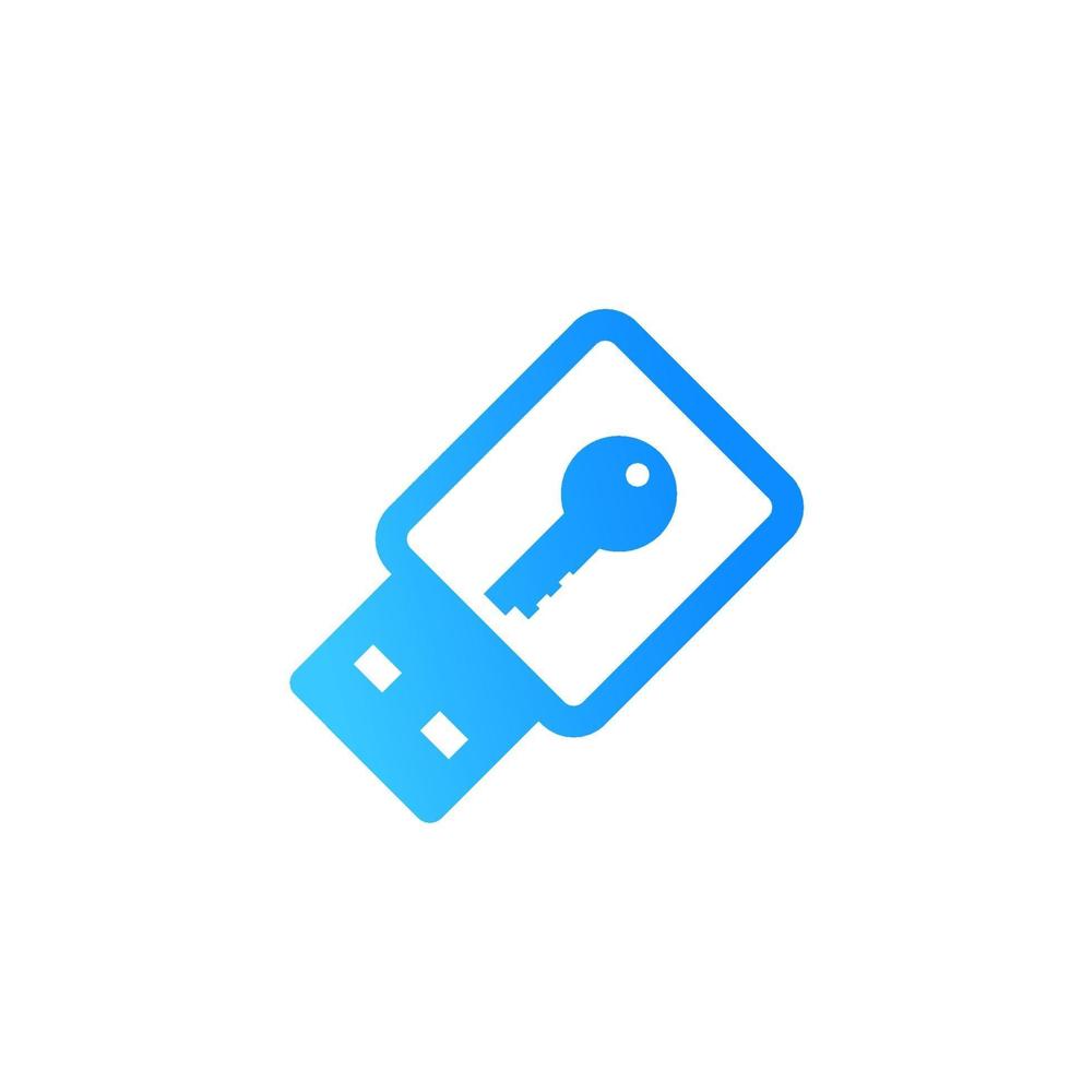 usb stick security key icon on white vector