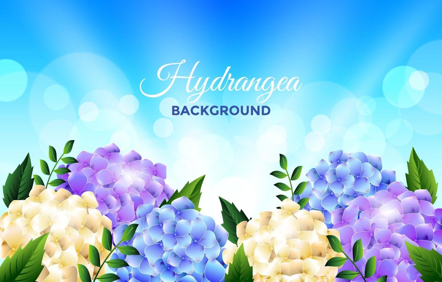 Floral Hydrangea Background vector