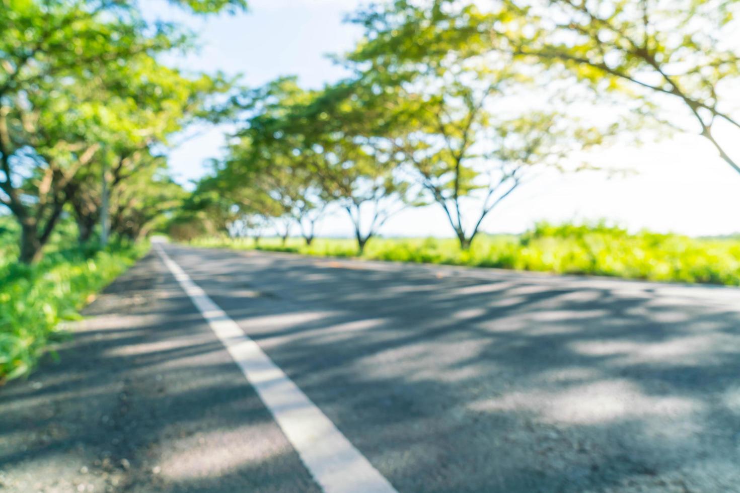 Abstract blur asphalt road in forest - boost up color processing style with sunflare effect photo