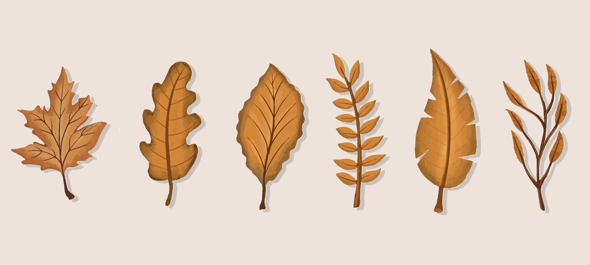 General Leaves Autumn vector