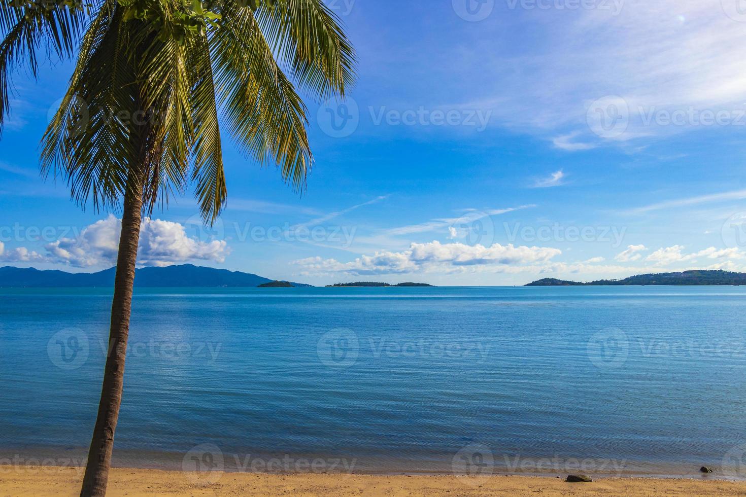 Increíble panorama del paisaje de la playa de palmeras de la isla de Koh Samui en Tailandia. foto