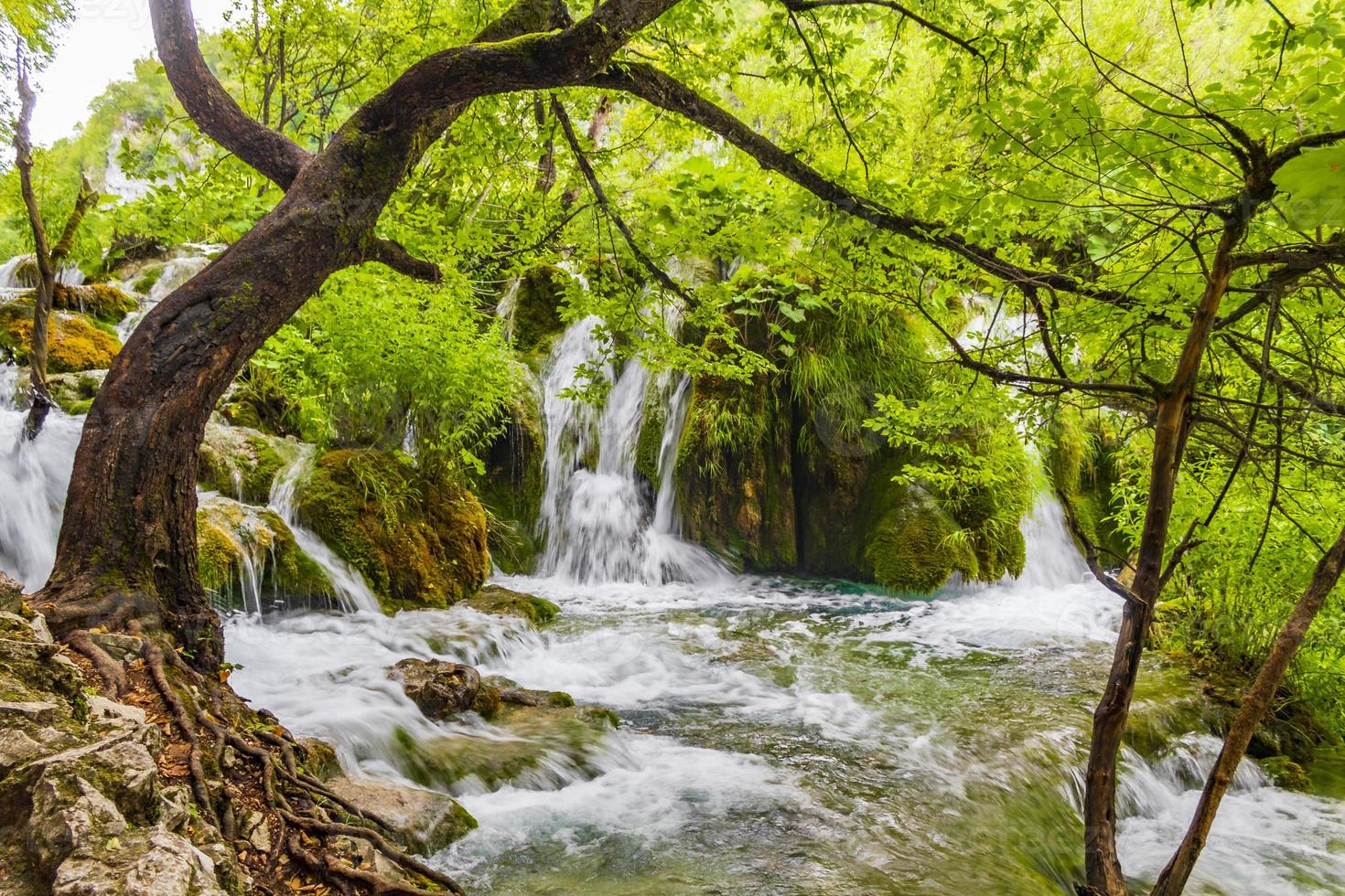 Parque nacional de los lagos de plitvice cascada agua verde turquesa croacia. foto