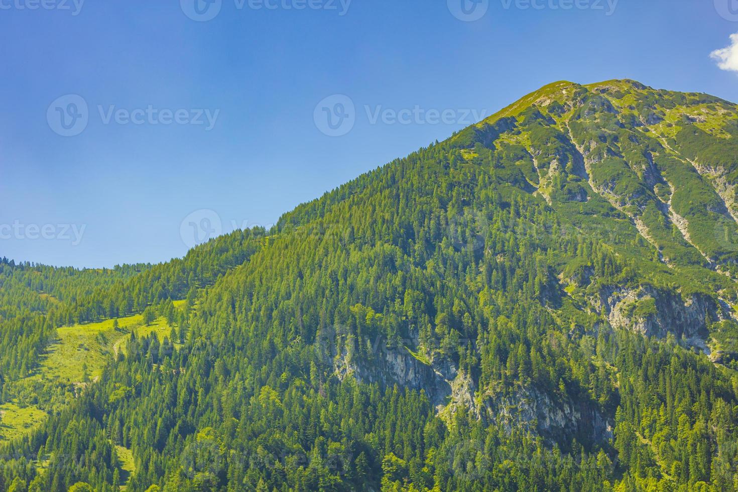 Wonderful wooded mountain and alpine panorama in Carinthia Austria. photo