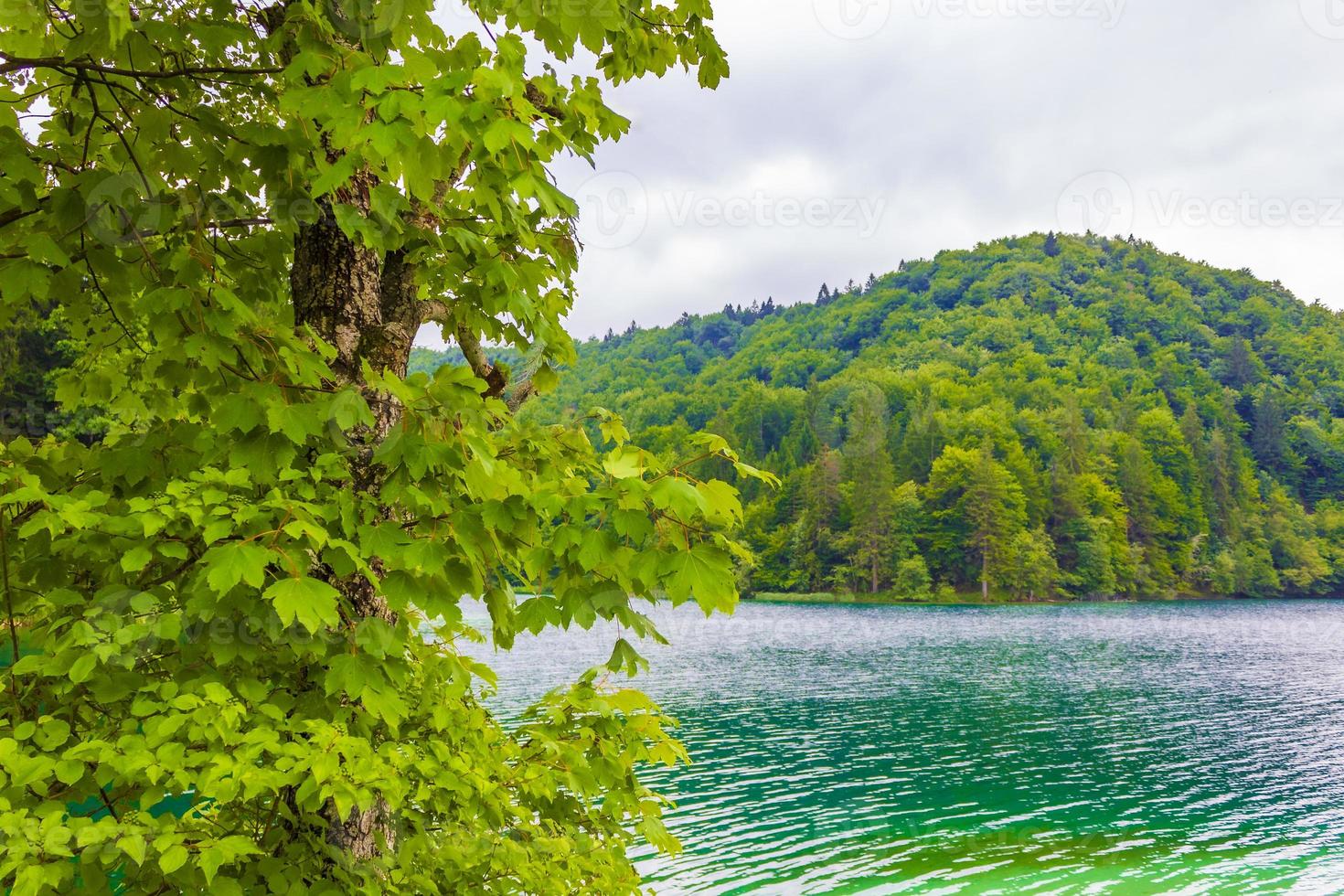 Parque nacional de los lagos de plitvice paisaje agua turquesa en croacia. foto