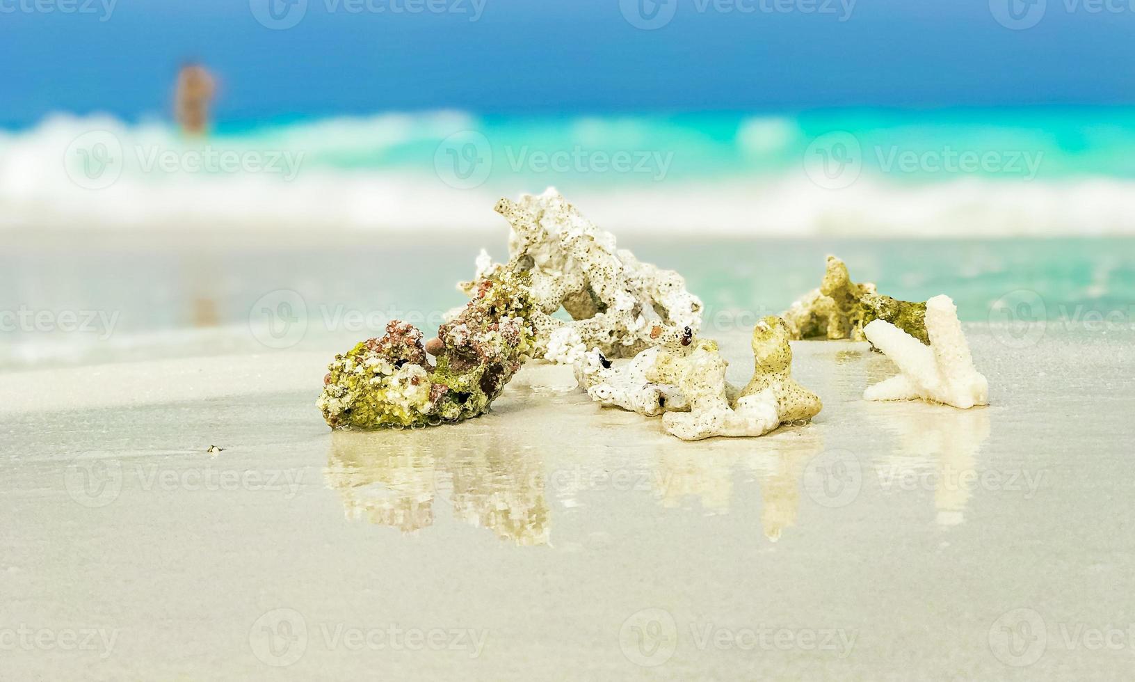 corales de arena de playa blanca y conchas en el atolón rasdhoo maldivas. foto