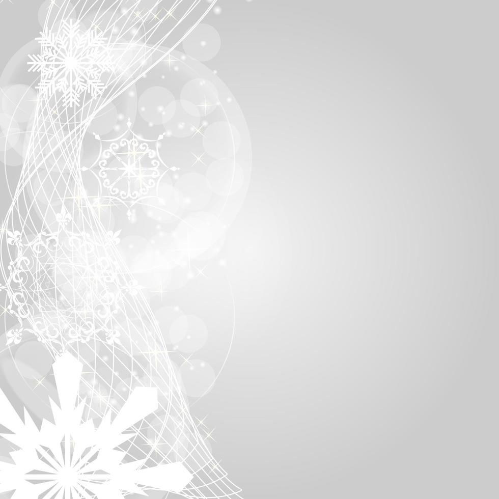 Abstract Beauty Christmas and New Year Background. vector