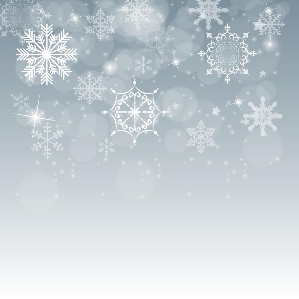 Abstract Beauty Christmas and New Year Background. vector