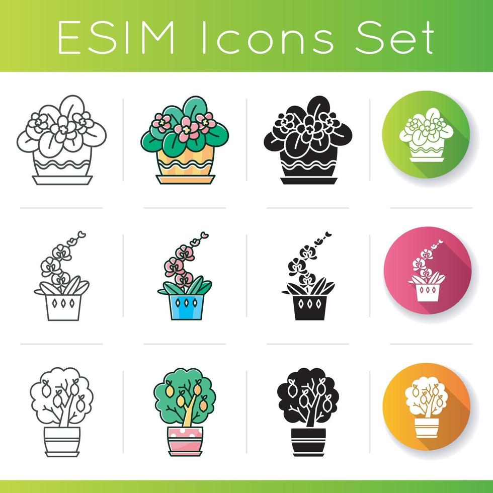 Decorative indoor plants icons set vector