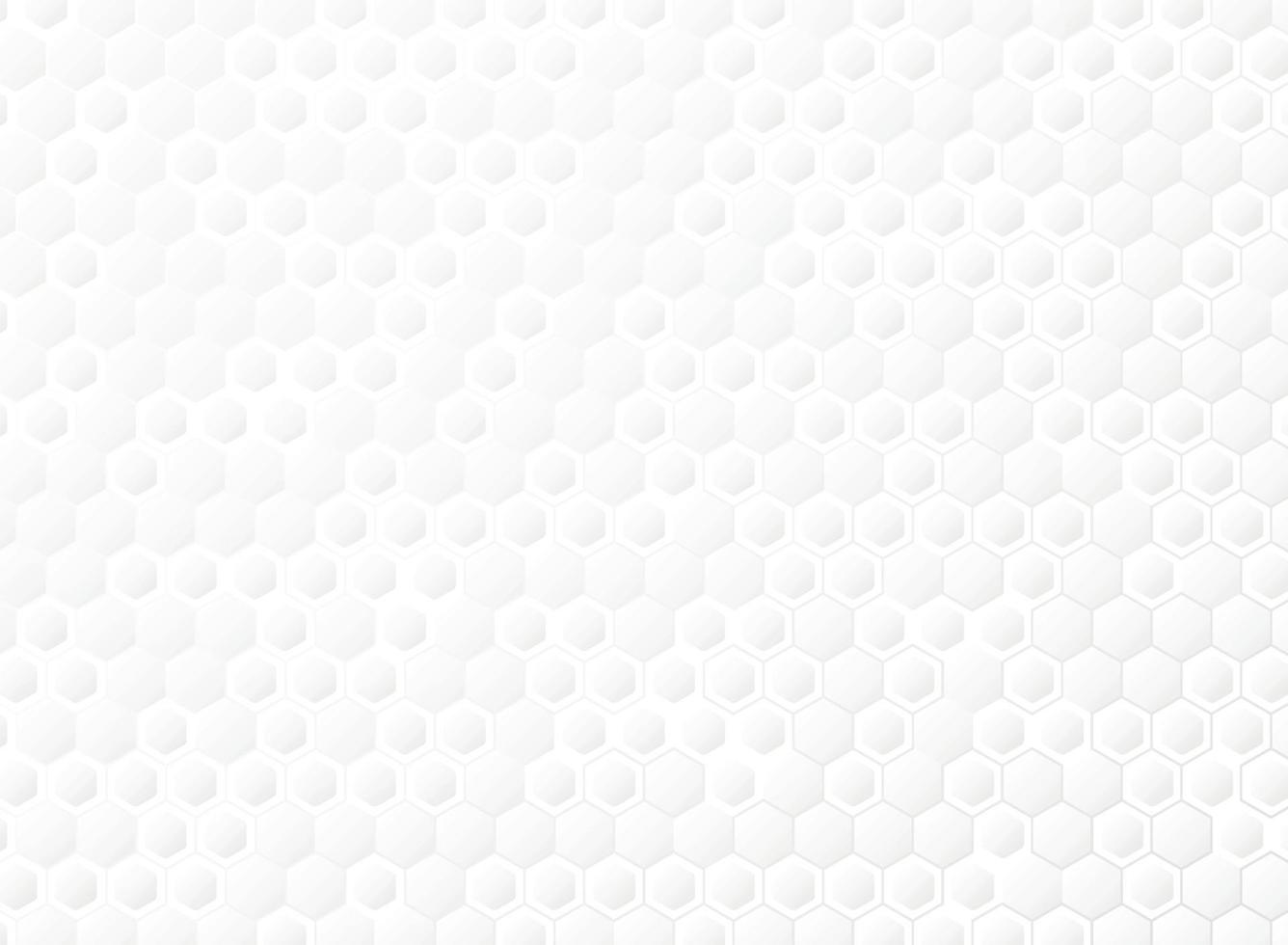 Abstract hexagonal gradient white of technology template background. vector