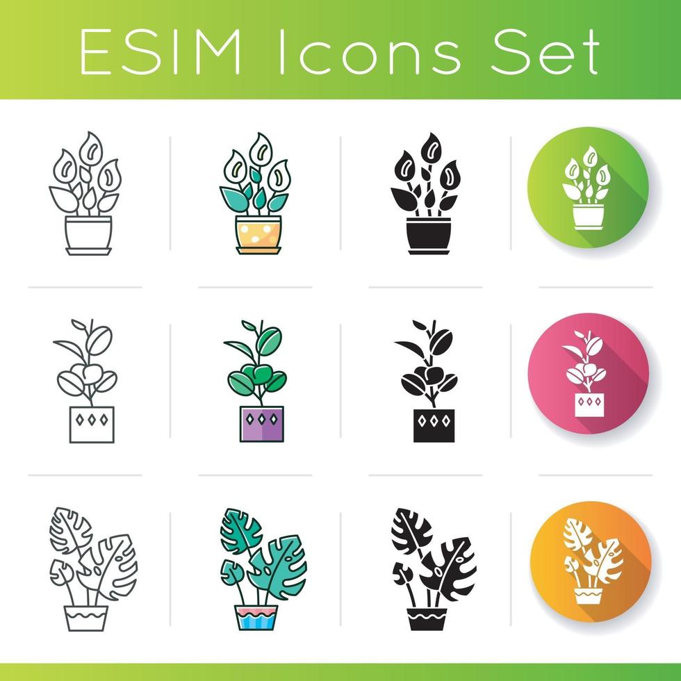 Houseplants icons set vector