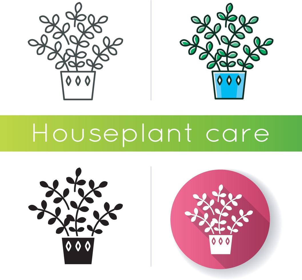 Zz plant icon vector
