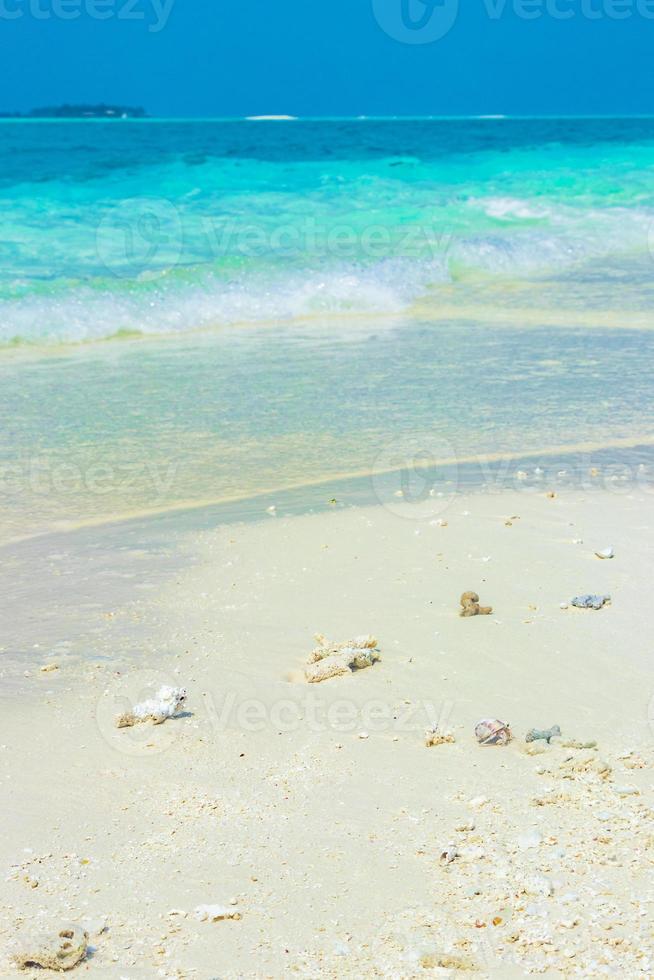 The Indian Ocean at Madivaru and Finolhu at the Rasdhoo Atoll, Maldives photo