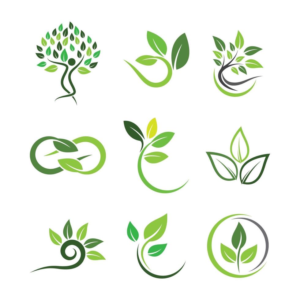 Leaf logo images 3067219 Vector Art at Vecteezy