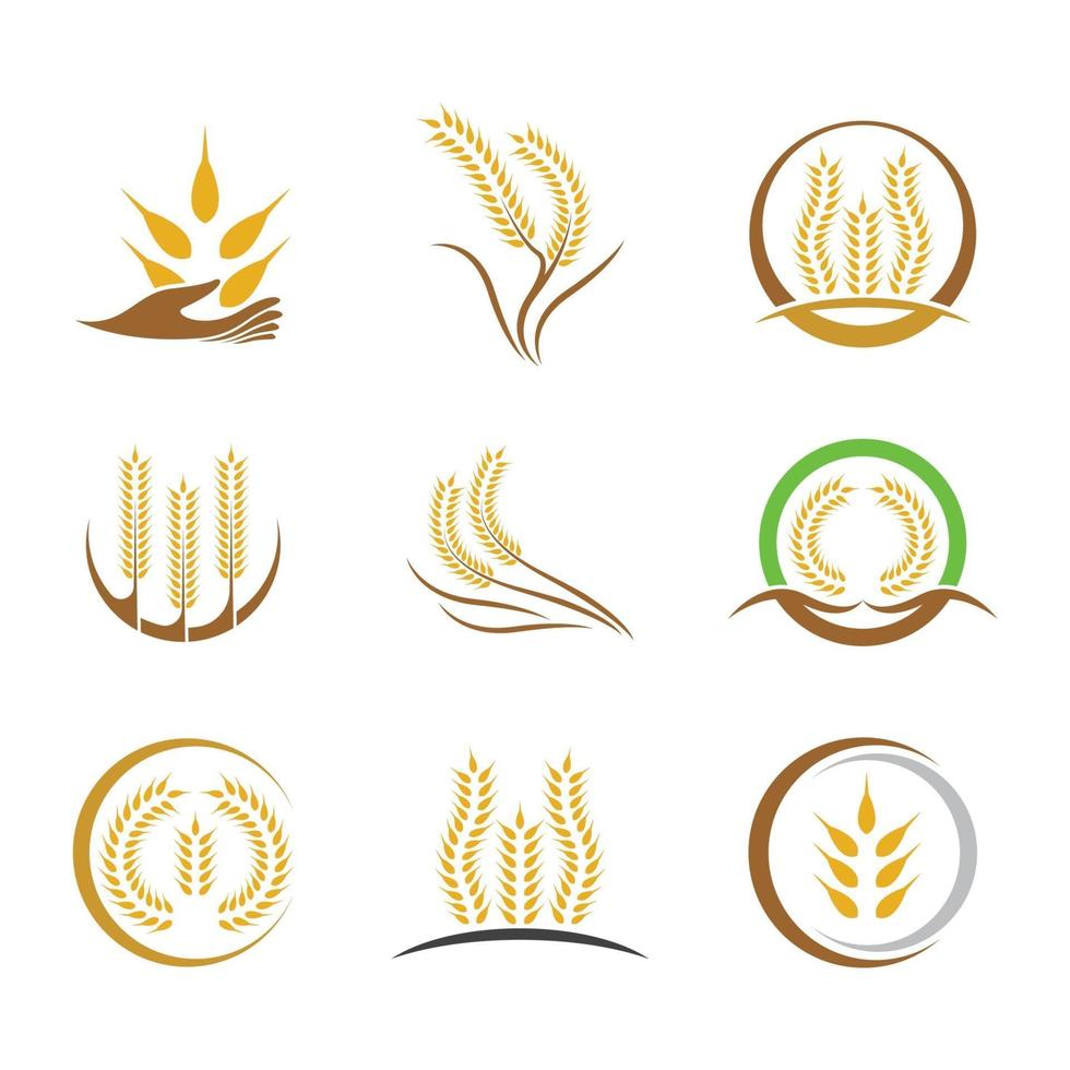 Wheat logo images vector