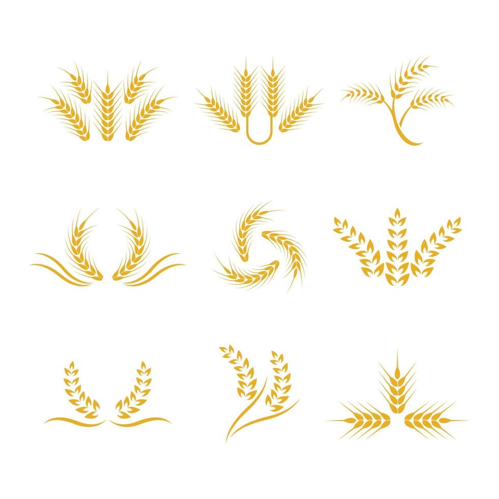 Wheat logo images vector