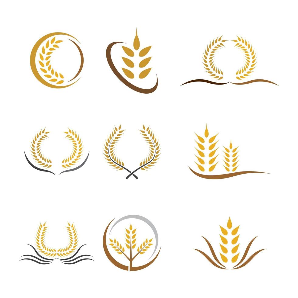 Wheat logo images vector