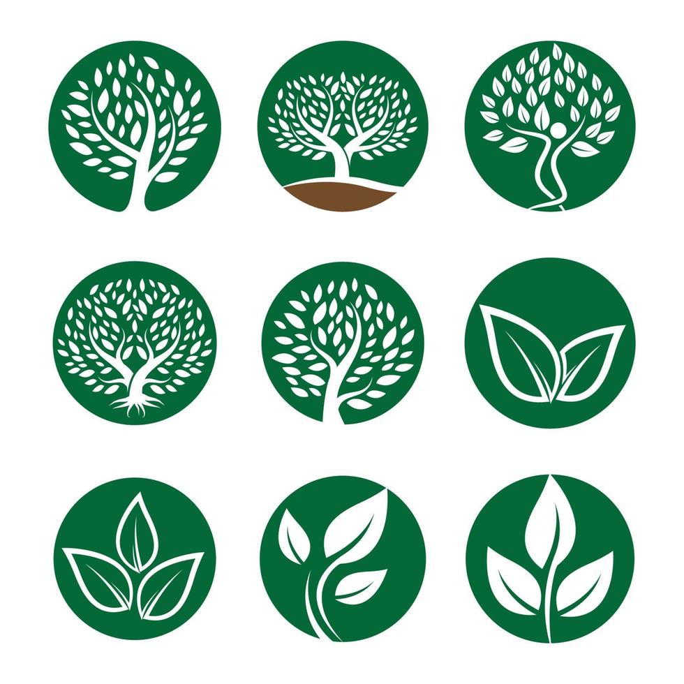 Tree logo images design vector