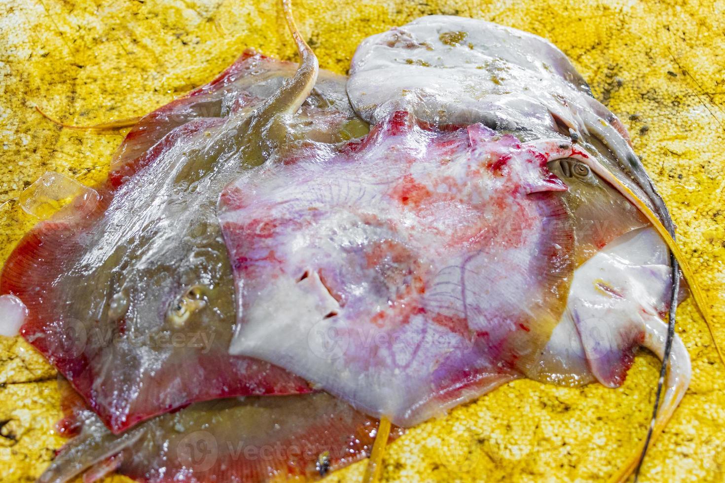 Rays in yellow sauce on Koh Samui, Thailand photo