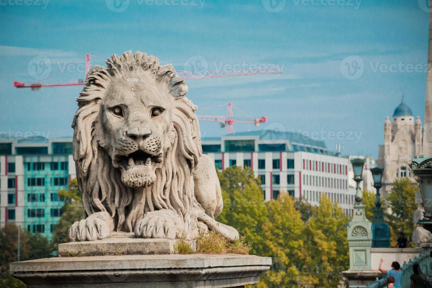 Lion statue at the Chain bridge, Budapest, Hungary photo