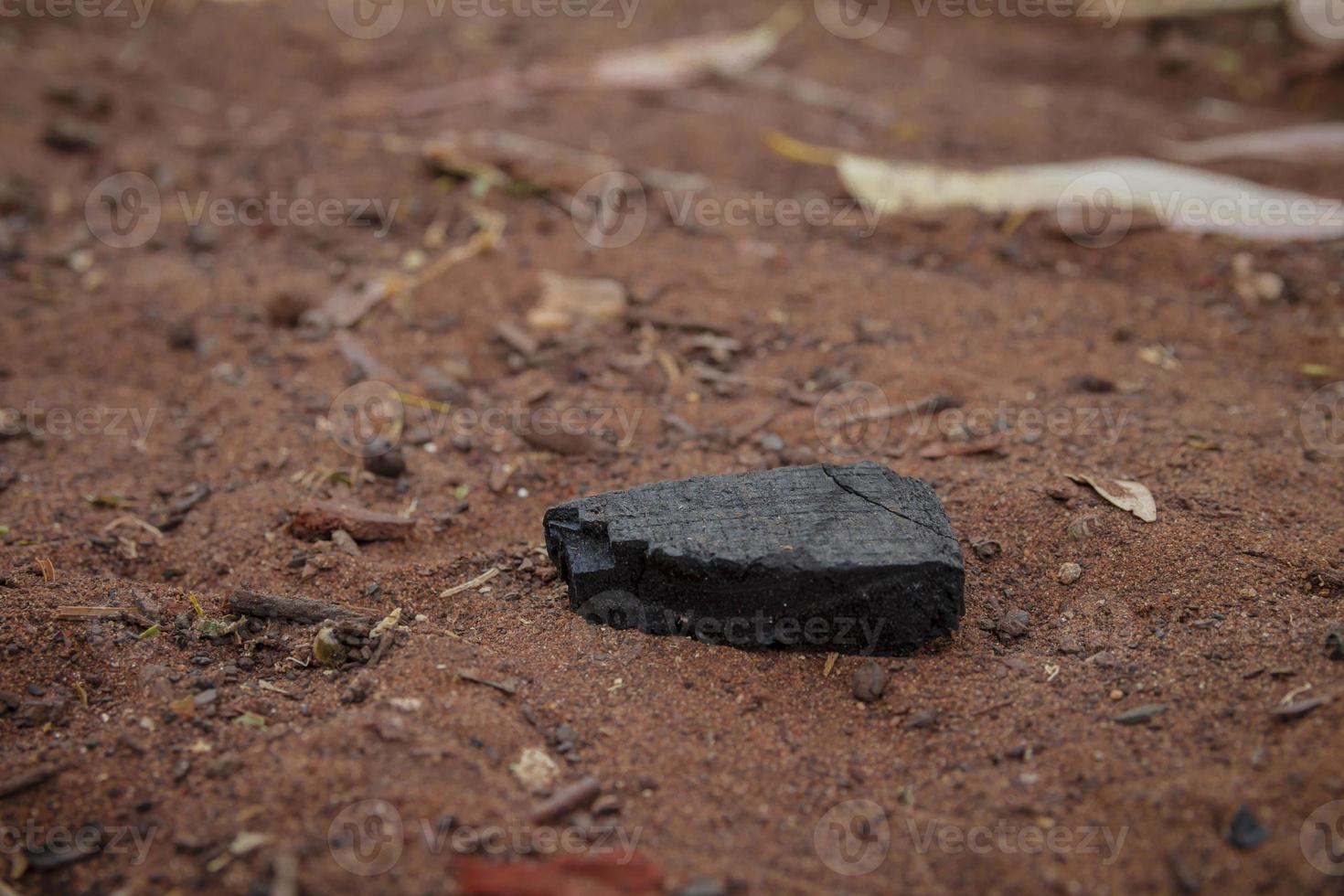 Piece of burnt wood coal on the ground photo